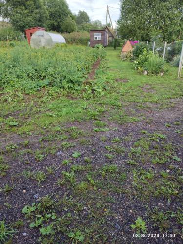 PHOTO-2024-08-20-11-16-04_2.jpg