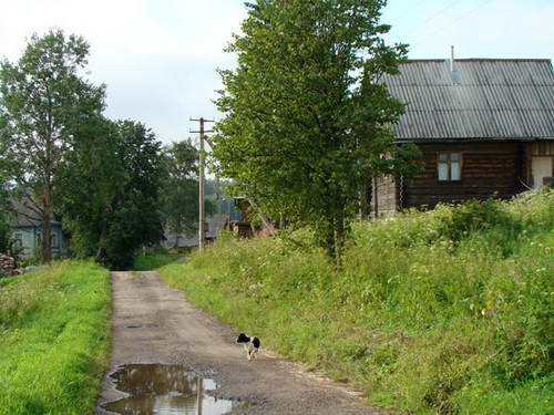 PR136.jpg