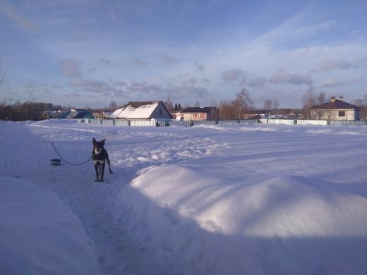 P_20190215_161458.jpg