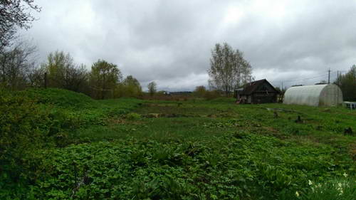 P_20190508_103312.jpg P_20190508_103312.jpg
