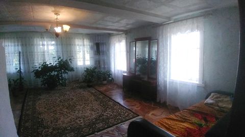 P_20200819_164656.jpg