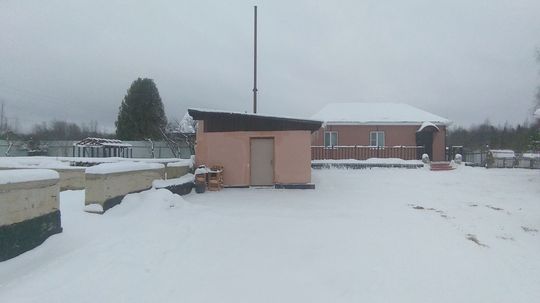 P_20210203_150556.jpg