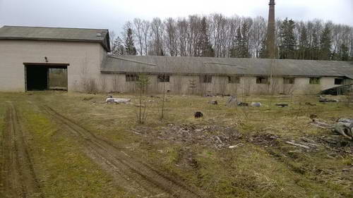 Pilorama_Trassa_Valdai__21.jpg