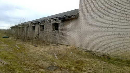 Pilorama_Trassa_Valdai__3.jpg
