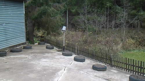 SAM_0199.JPG