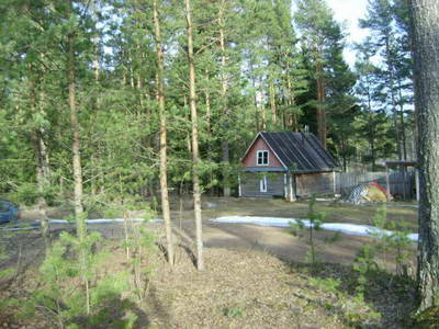 STP61755.JPG