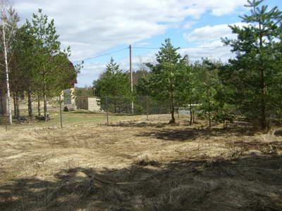 STP62551.JPG