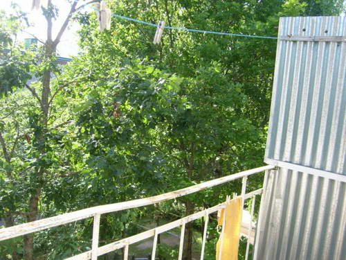 STP62918.JPG