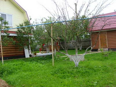 STP63042.JPG