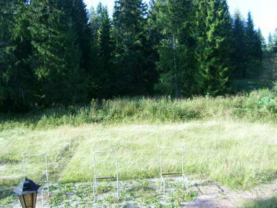 STP63119.JPG