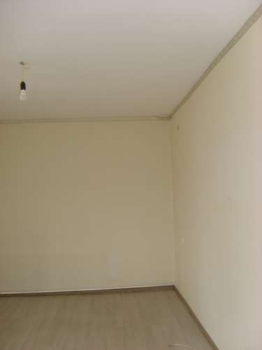 STP63336.JPG