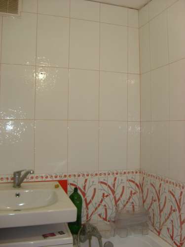 STP63339.JPG