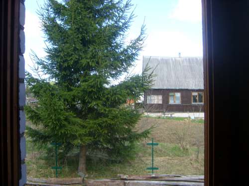 STP63367.JPG