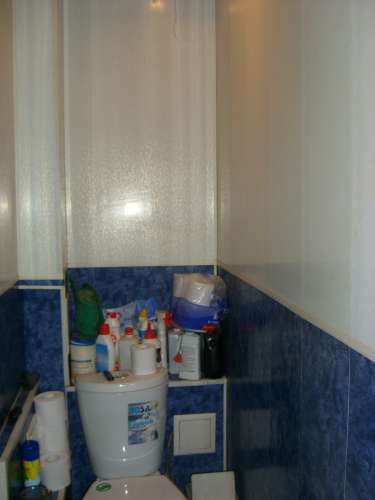STP63441.JPG
