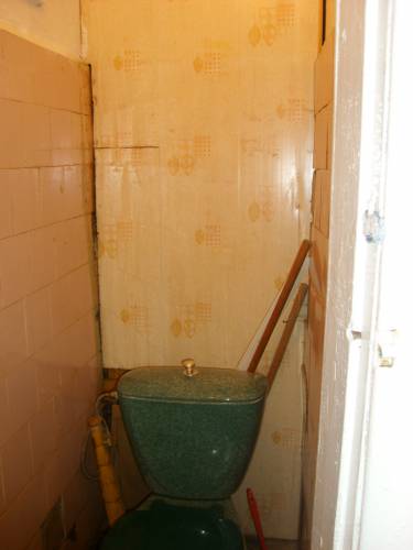 STP63487.JPG