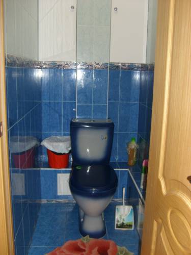 STP63555.JPG