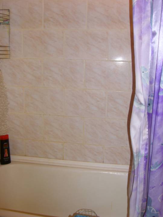 STP63769.JPG
