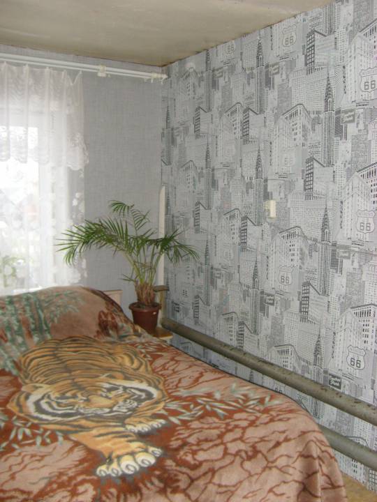 STP63785.JPG