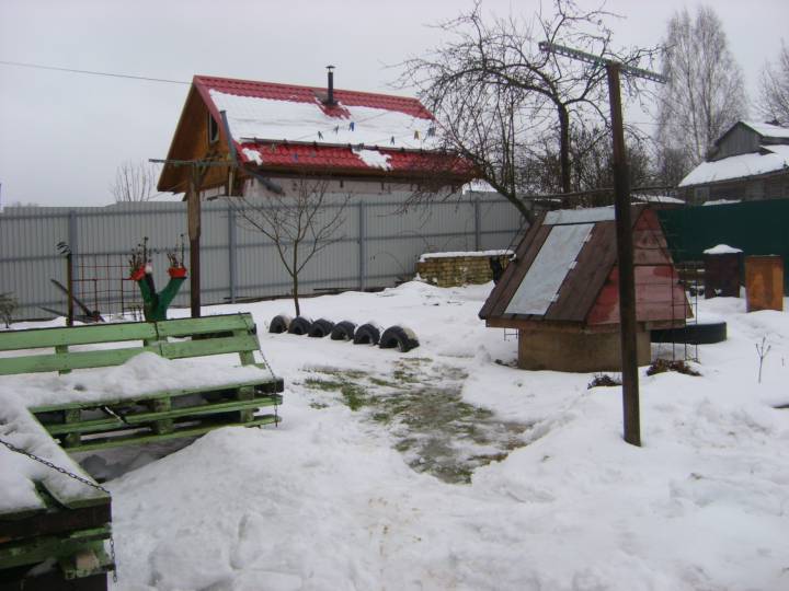 STP63788.JPG