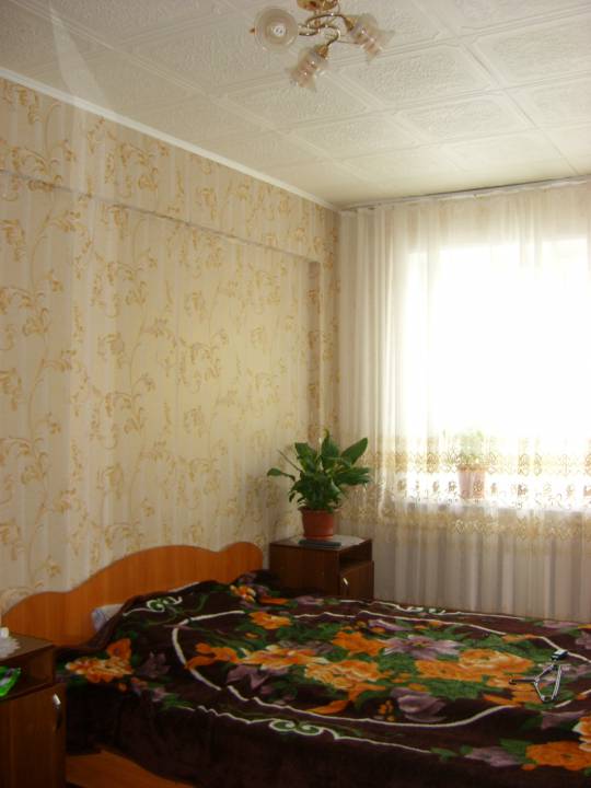 STP63974.JPG