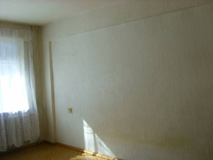 STP63985.JPG
