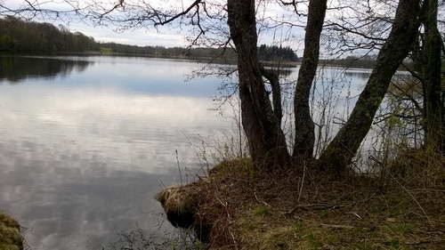 WP_20170519_013.jpg WP_20170519_013.jpg