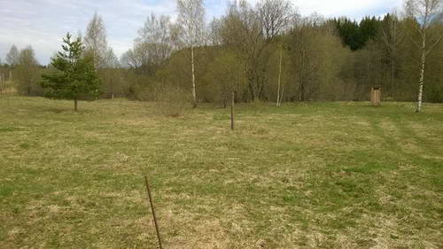 WP_20170519_018.jpg WP_20170519_018.jpg