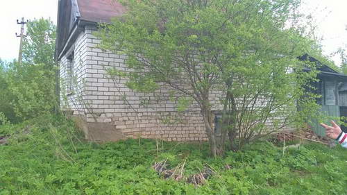 WP_20170529_020.jpg