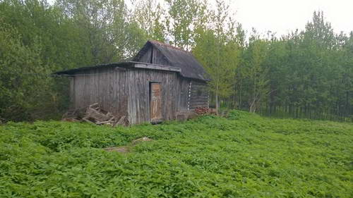 WP_20170529_025.jpg