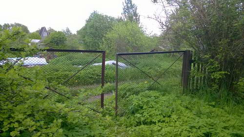 WP_20170613_072.jpg