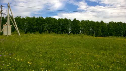 WP_20170620_027.jpg WP_20170620_027.jpg