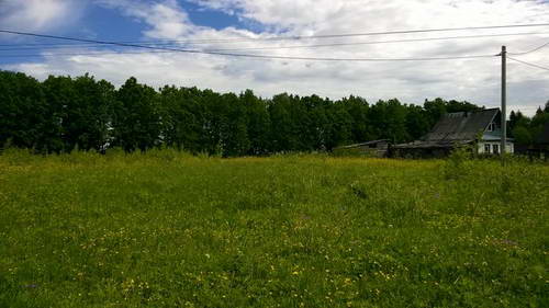 WP_20170620_028.jpg WP_20170620_028.jpg
