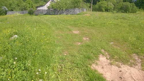 WP_20170620_040.jpg WP_20170620_040.jpg