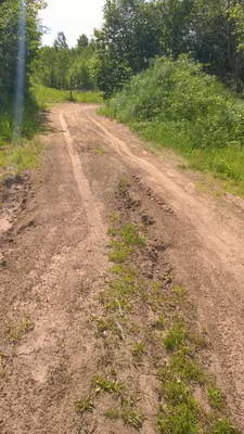 WP_20170620_041.jpg WP_20170620_041.jpg