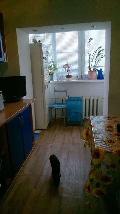 WP_20171003_078.jpg