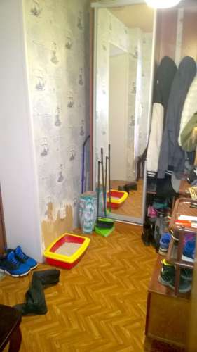 WP_20180409_005.jpg WP_20180409_005.jpg
