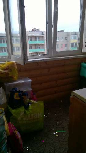 WP_20180424_065.jpg