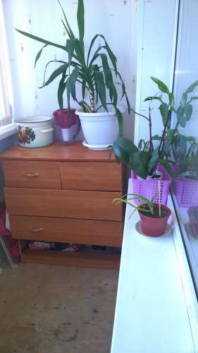 WP_20180528_037.jpg