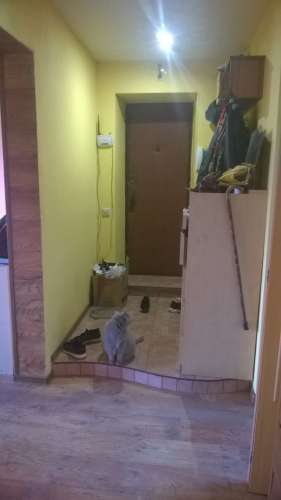 WP_20180620_003.jpg