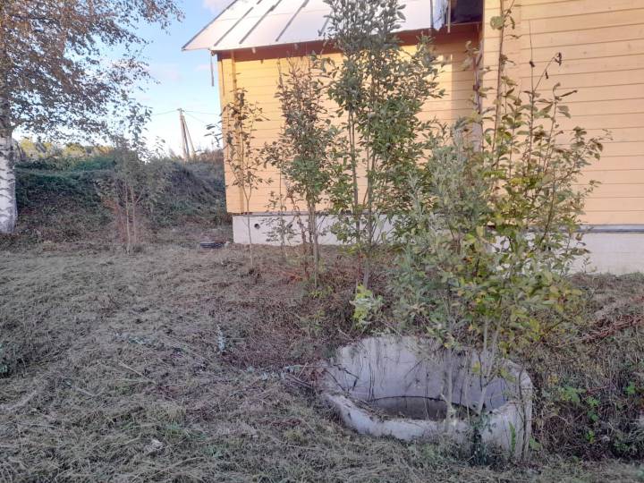 WhatsApp_Image_2023-10-25_at_14.22.21_3.jpeg
