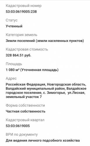 WhatsApp_Image_2024-05-25_at_11.50.30.jpeg