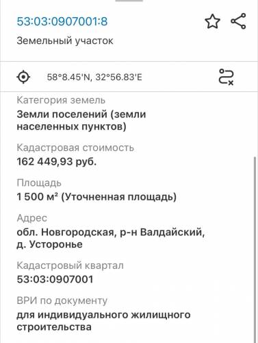 WhatsApp_Image_2024-10-12_at_13.10.17.jpeg