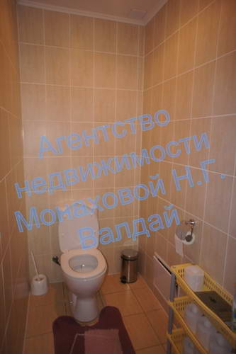 domplotnikov_9.JPG