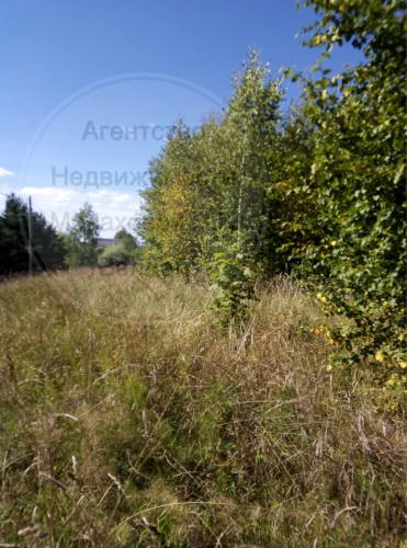 image-22-08-20-02-41-3.png