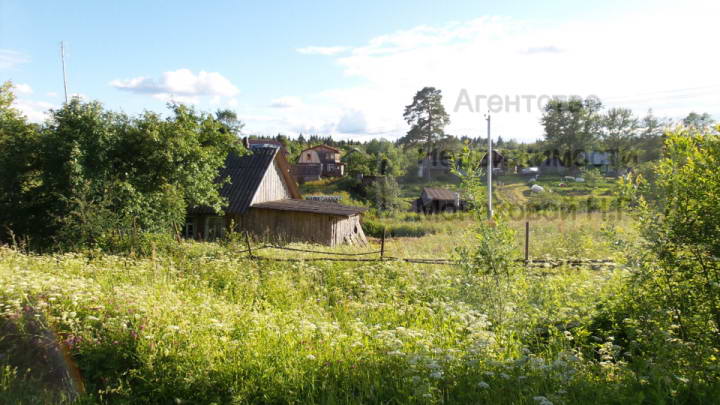 image-24-07-20-05-46-2.png