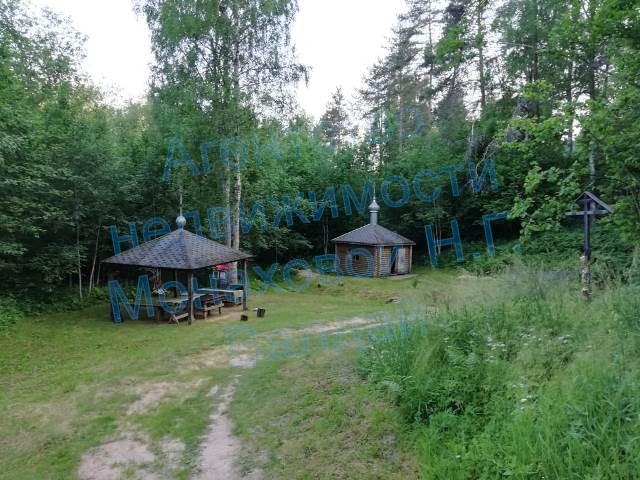 image_6487327.JPG
