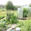 DSC03146.JPG
