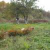 DSCN1538.JPG