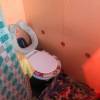 IMG-20190514-WA0096.jpg