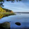 IMG-20210611-WA0003.jpg